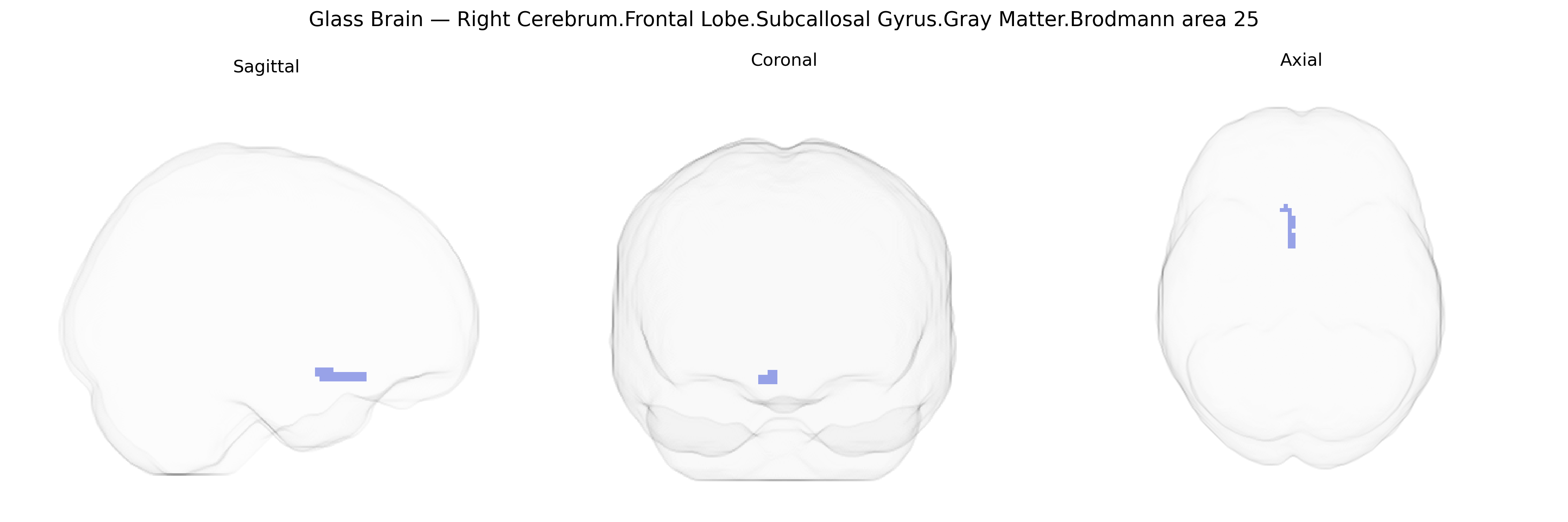 Triplanar Ghost Brain