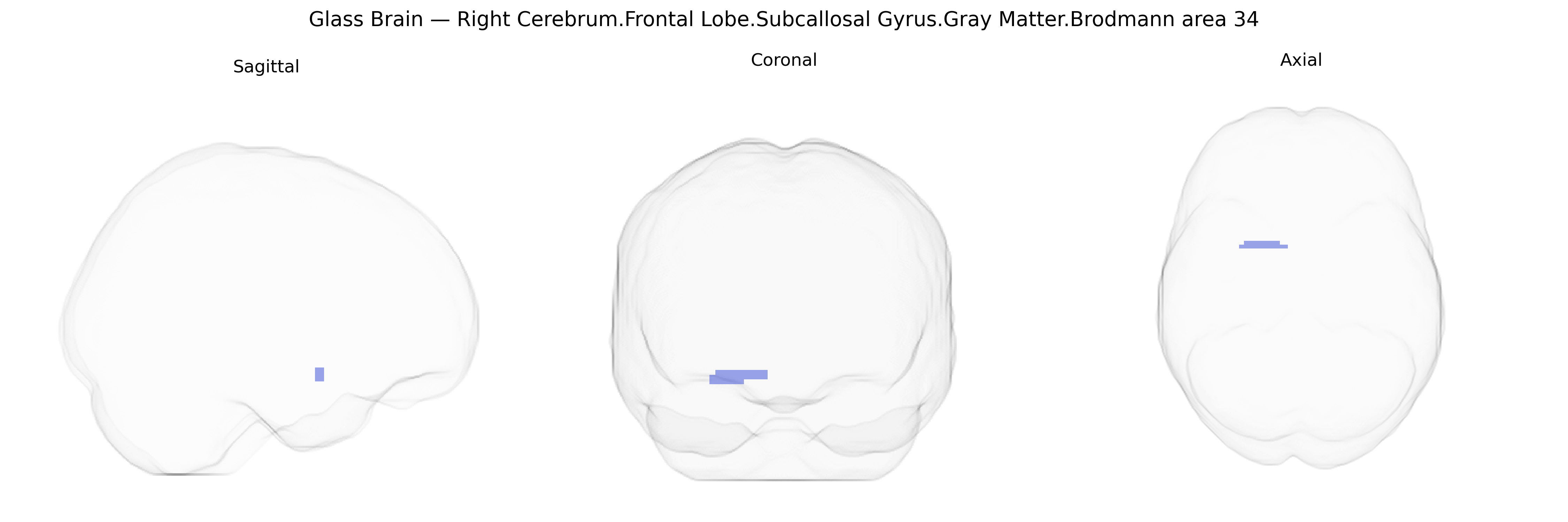 Triplanar Ghost Brain