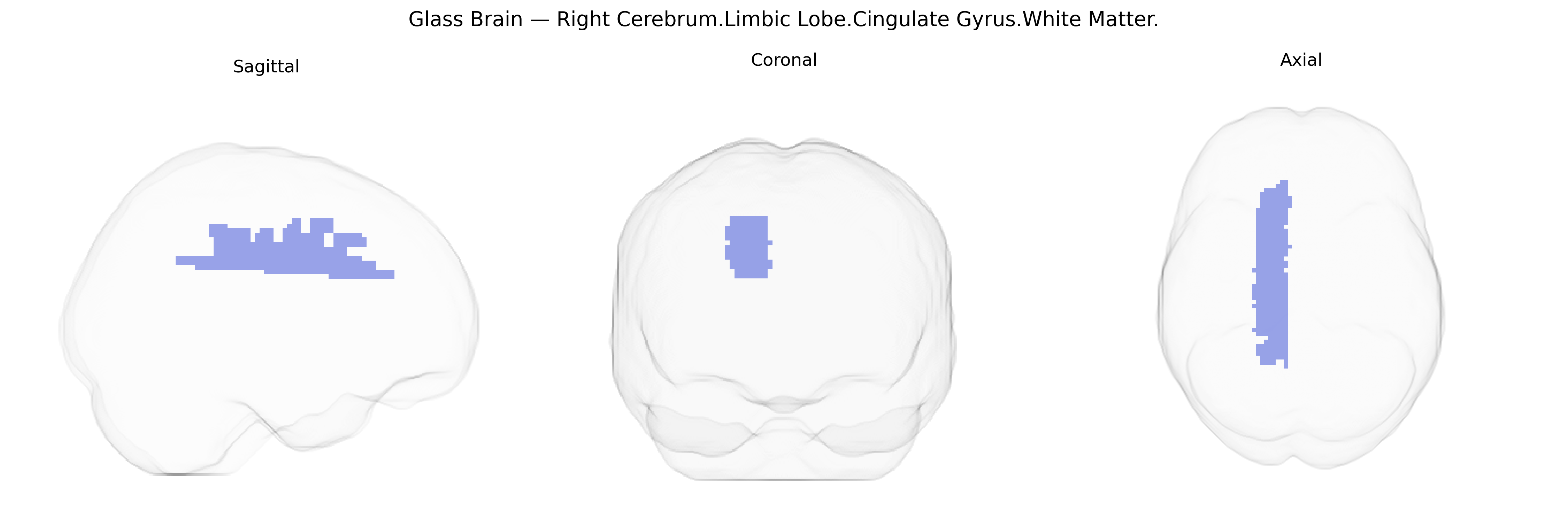 Triplanar Ghost Brain