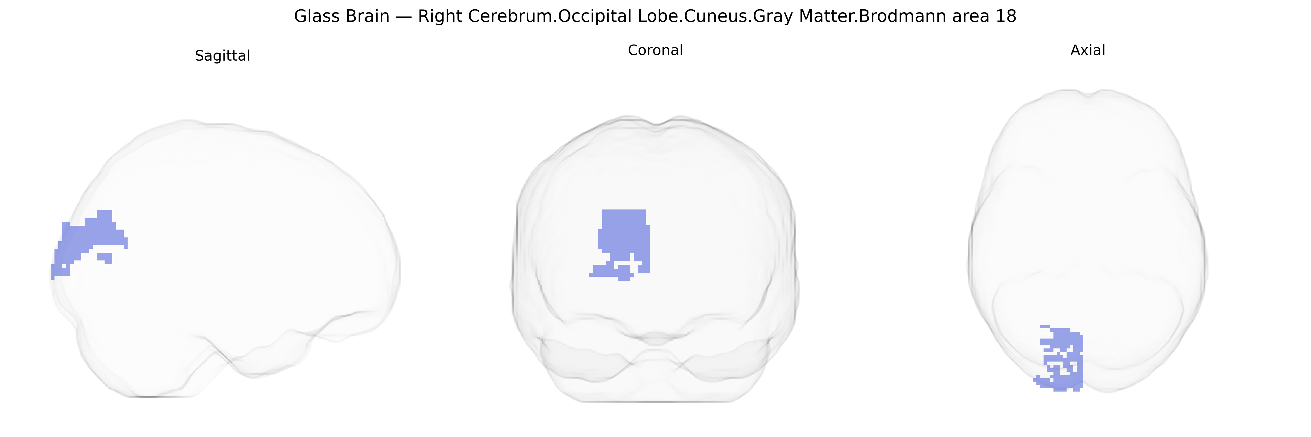 Triplanar Ghost Brain