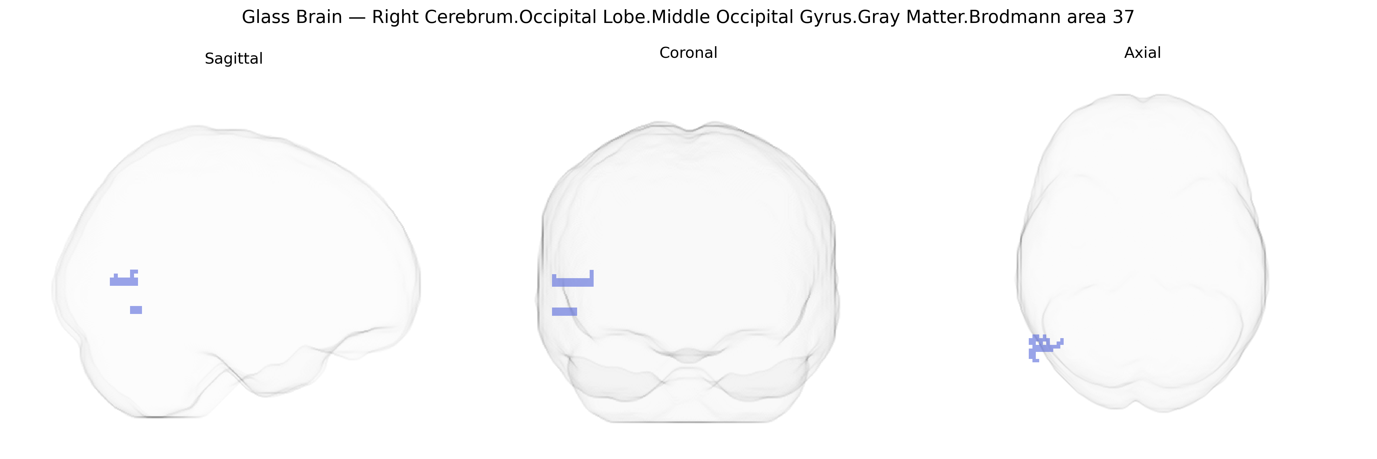 Triplanar Ghost Brain
