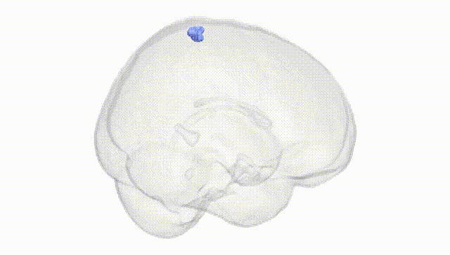 Full Brain White