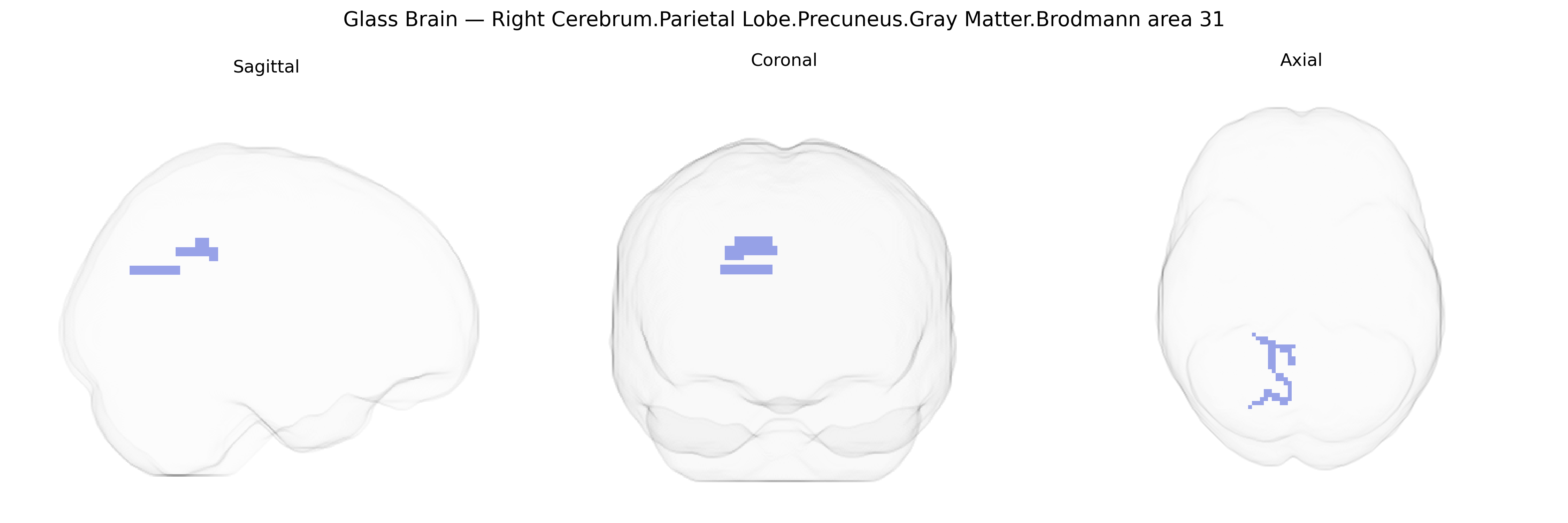 Triplanar Ghost Brain