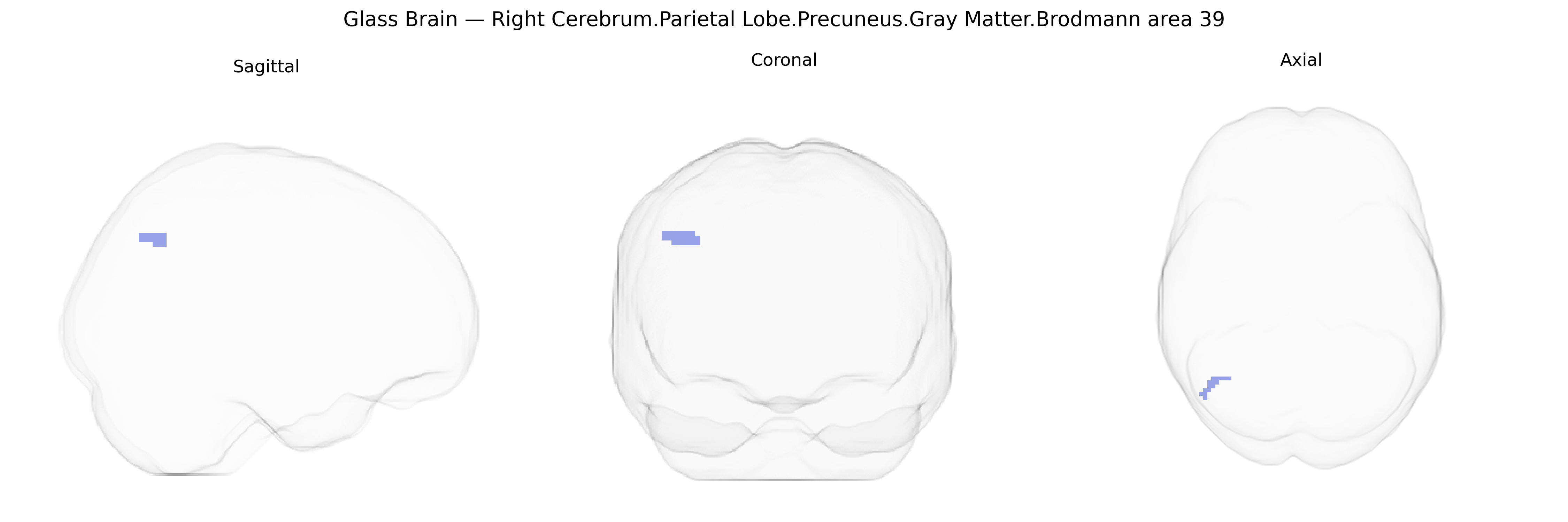Triplanar Ghost Brain