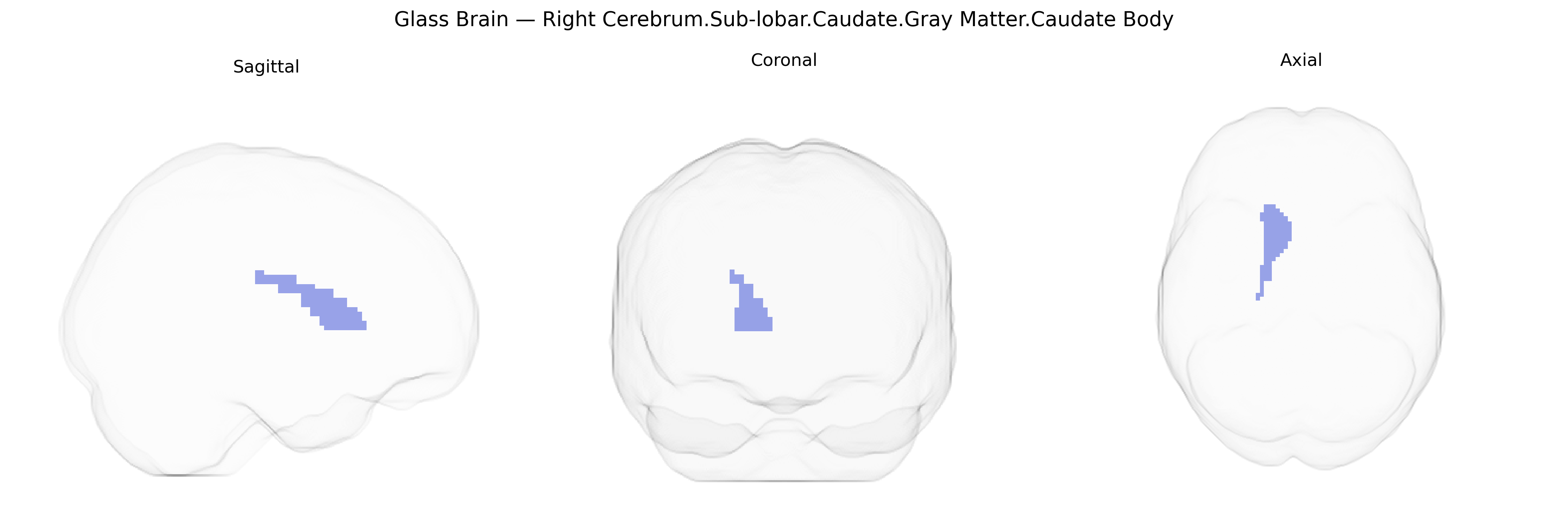 Triplanar Ghost Brain