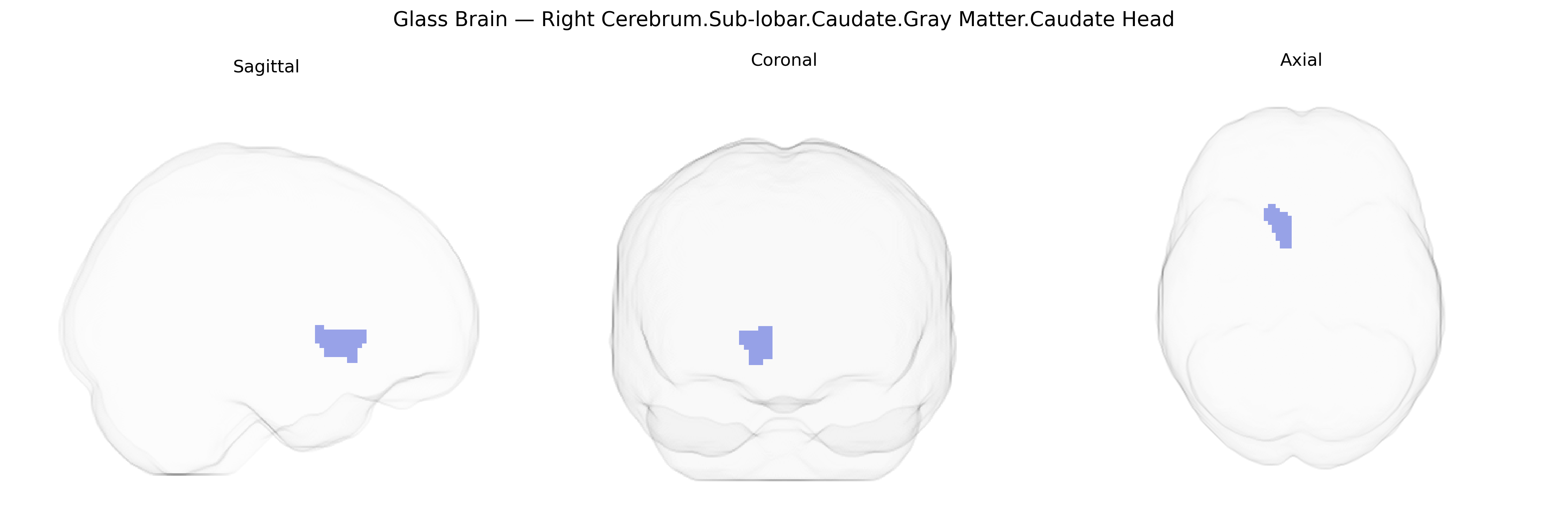 Triplanar Ghost Brain