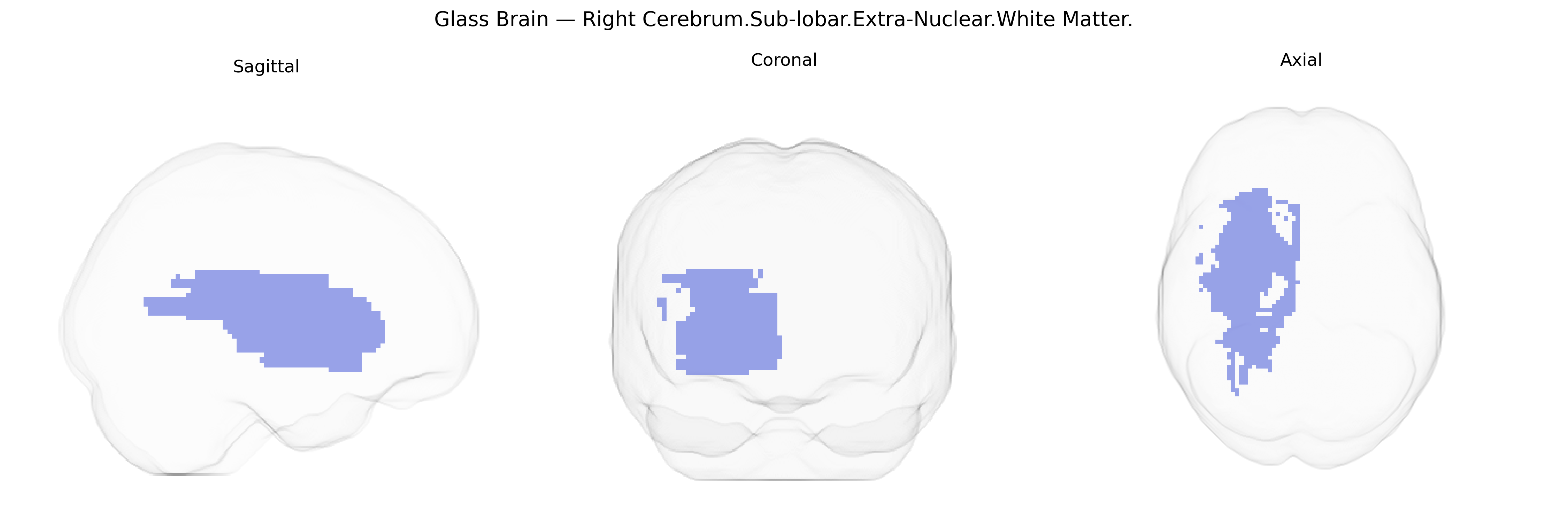 Triplanar Ghost Brain