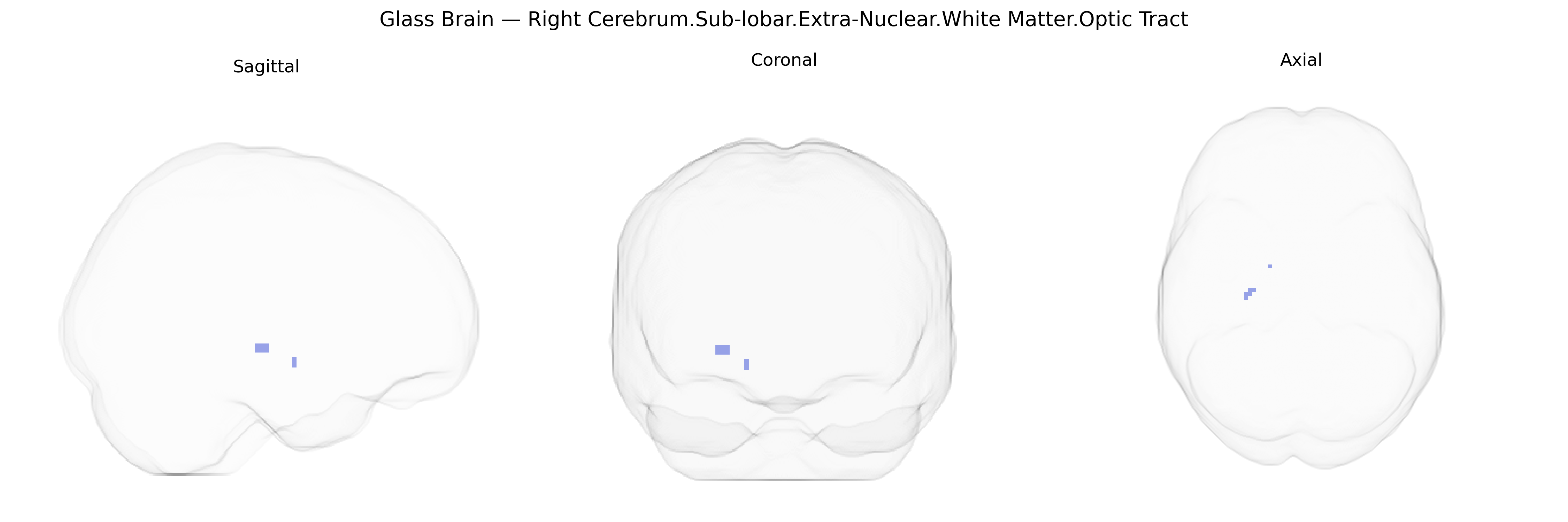 Triplanar Ghost Brain