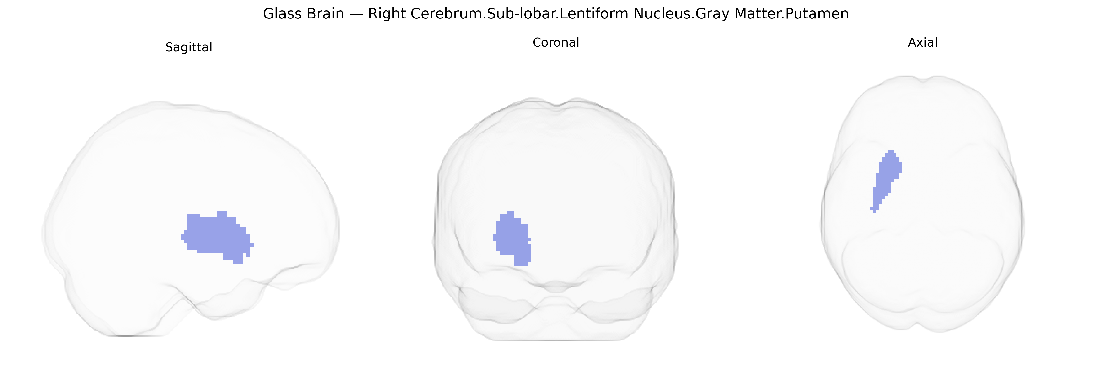 Triplanar Ghost Brain