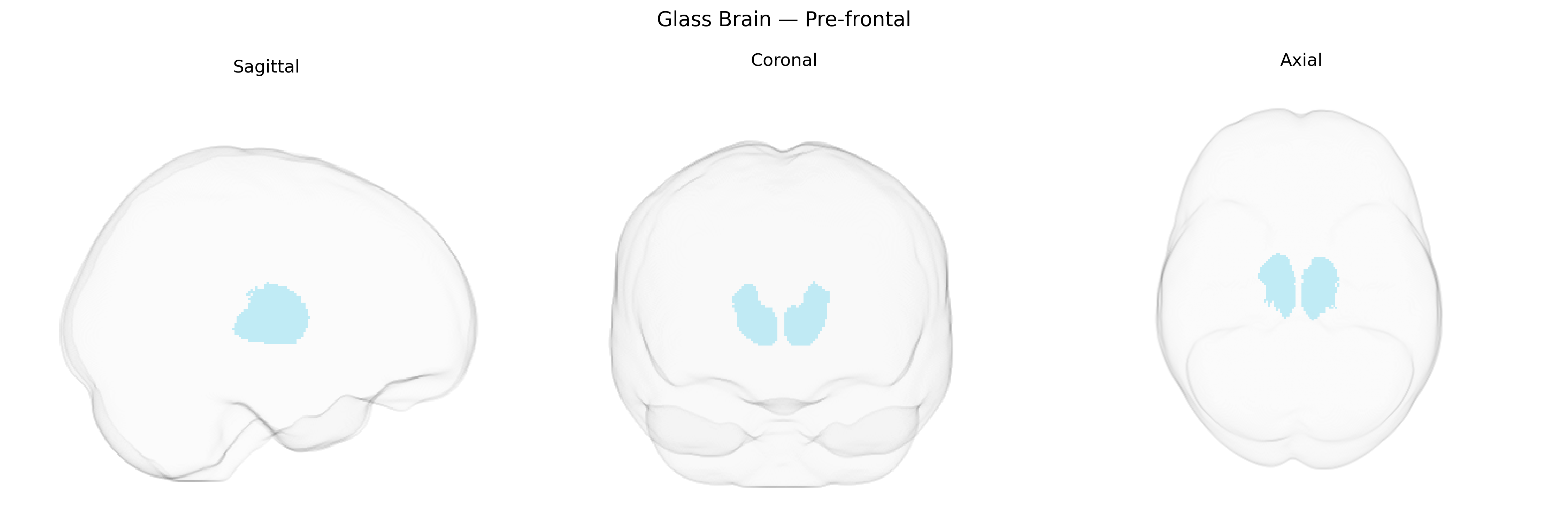 Triplanar Ghost Brain