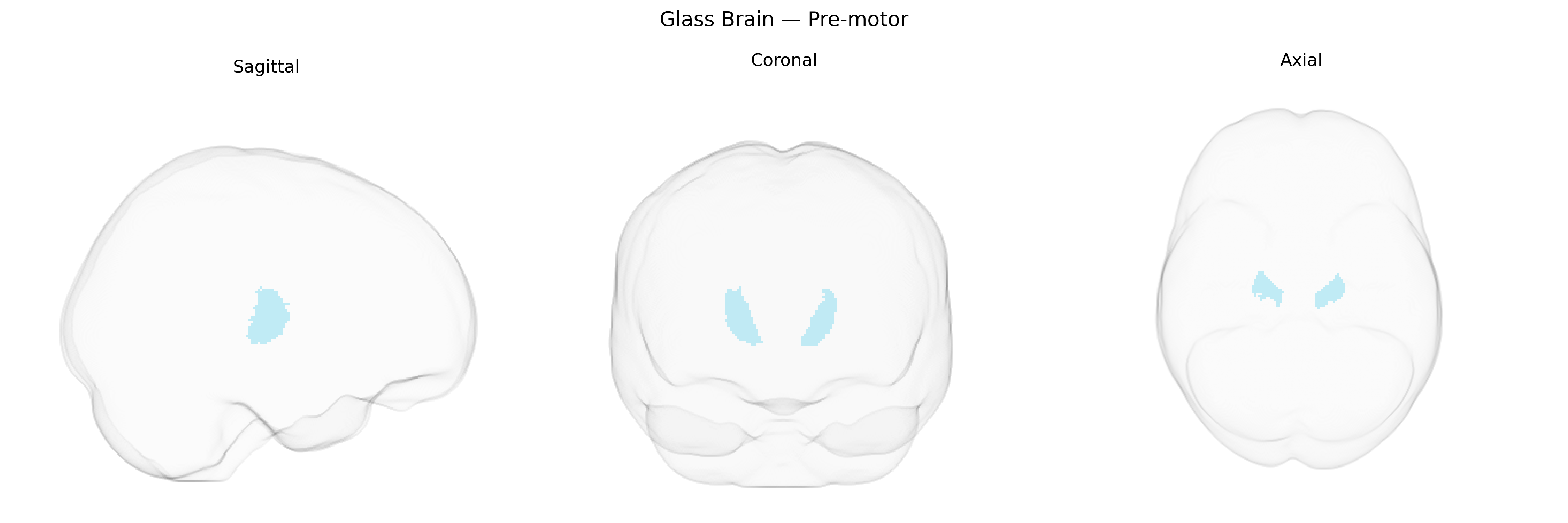 Triplanar Ghost Brain