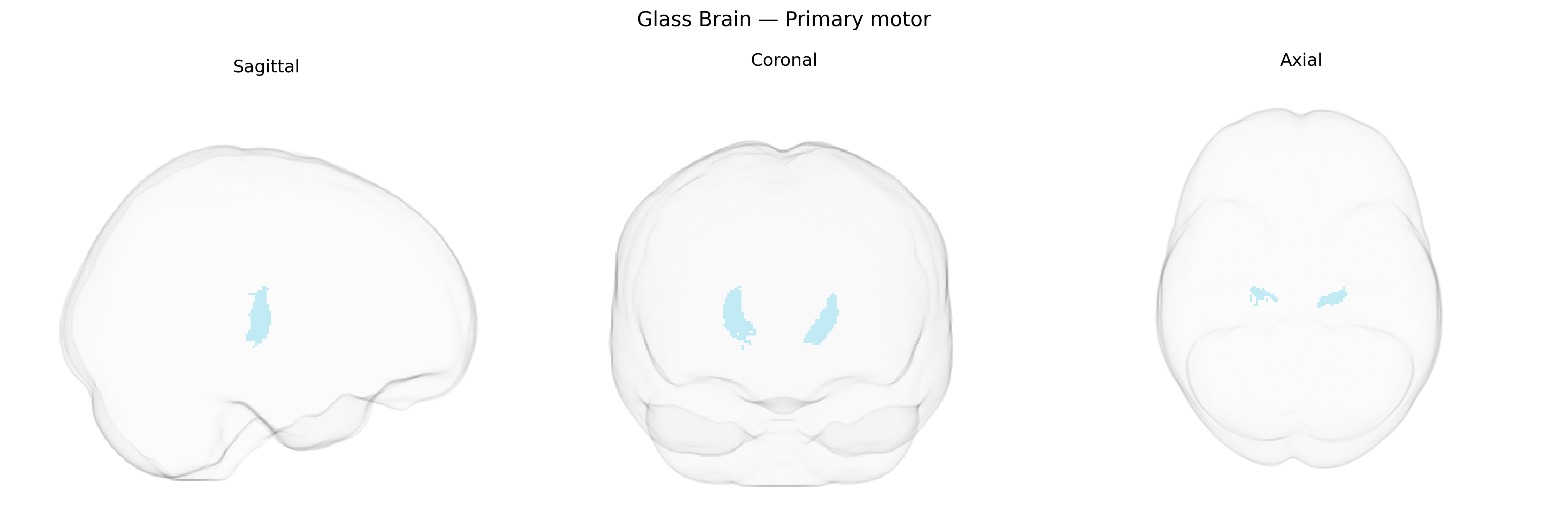 Triplanar Ghost Brain
