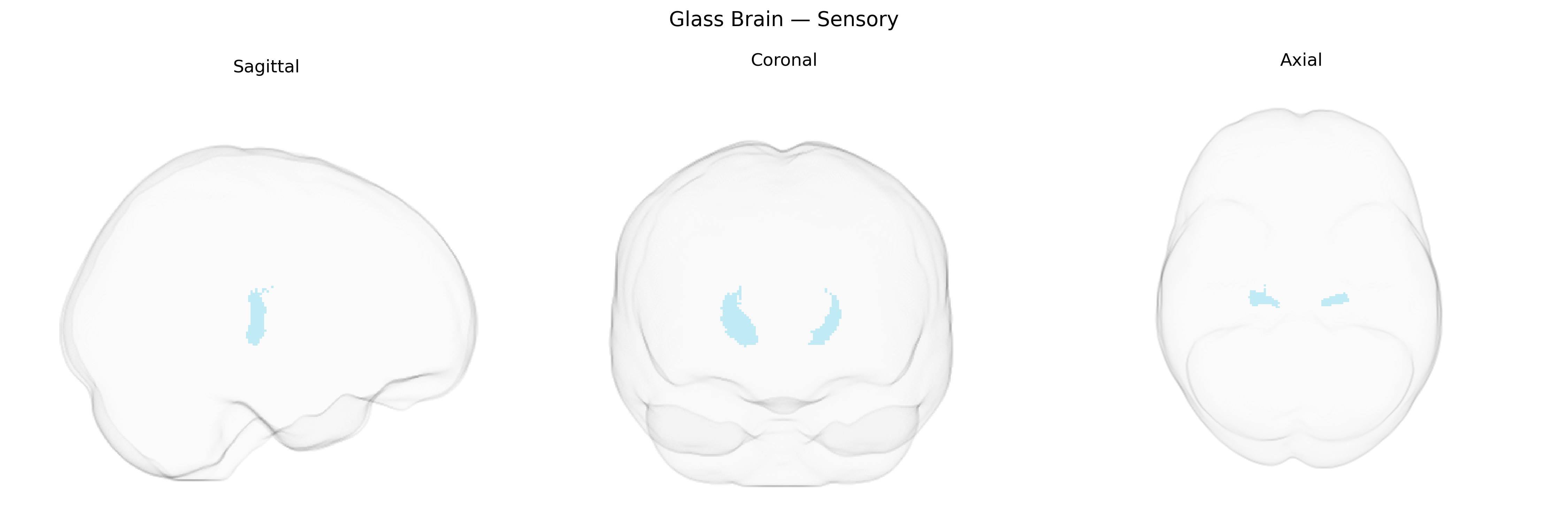Triplanar Ghost Brain