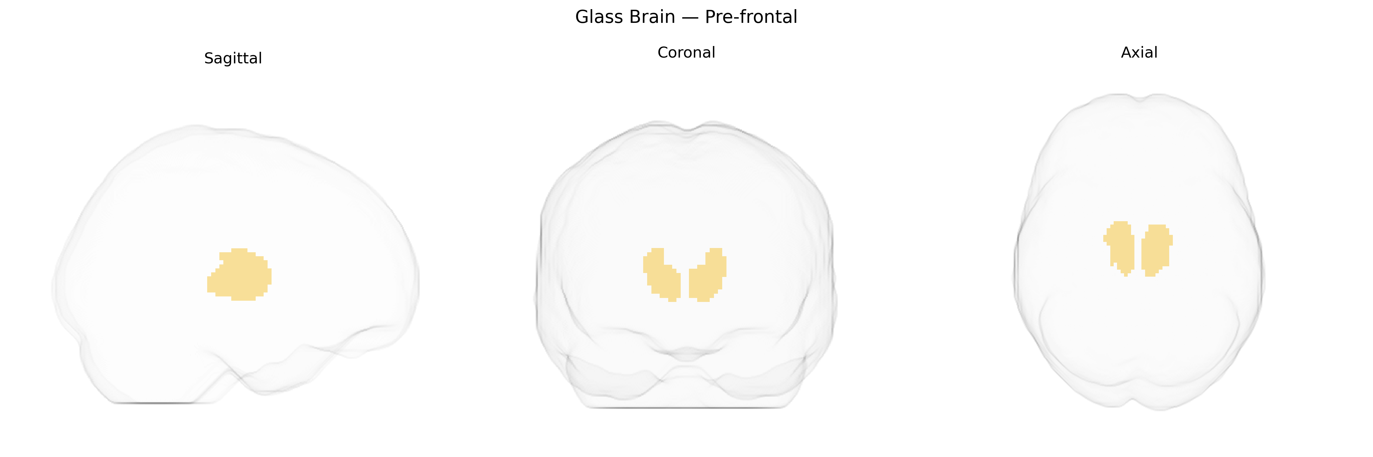 Triplanar Ghost Brain
