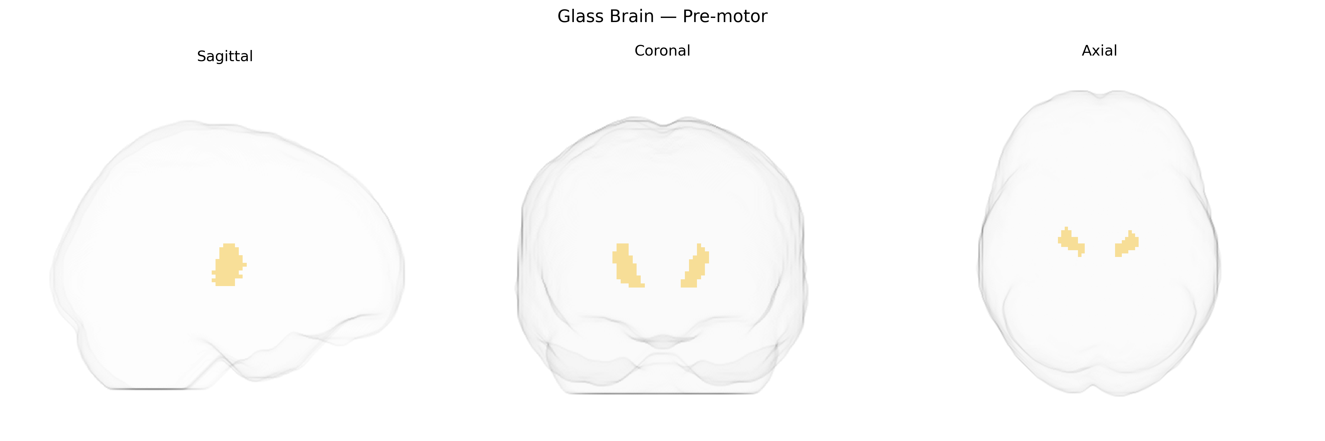 Triplanar Ghost Brain