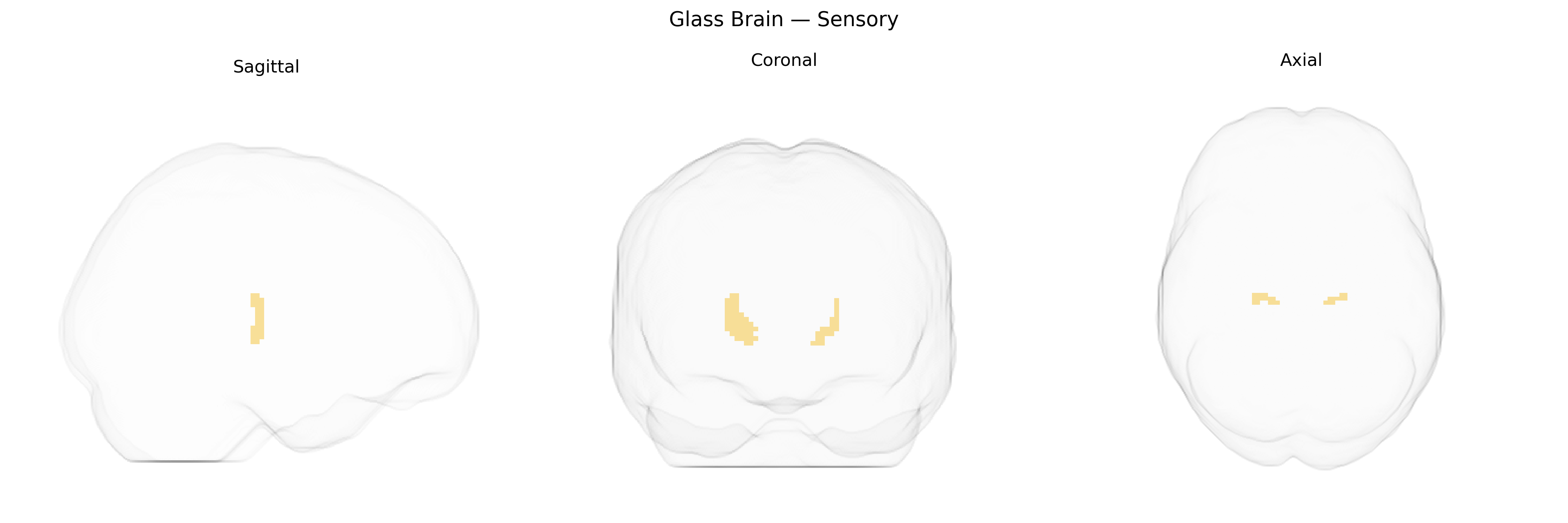 Triplanar Ghost Brain