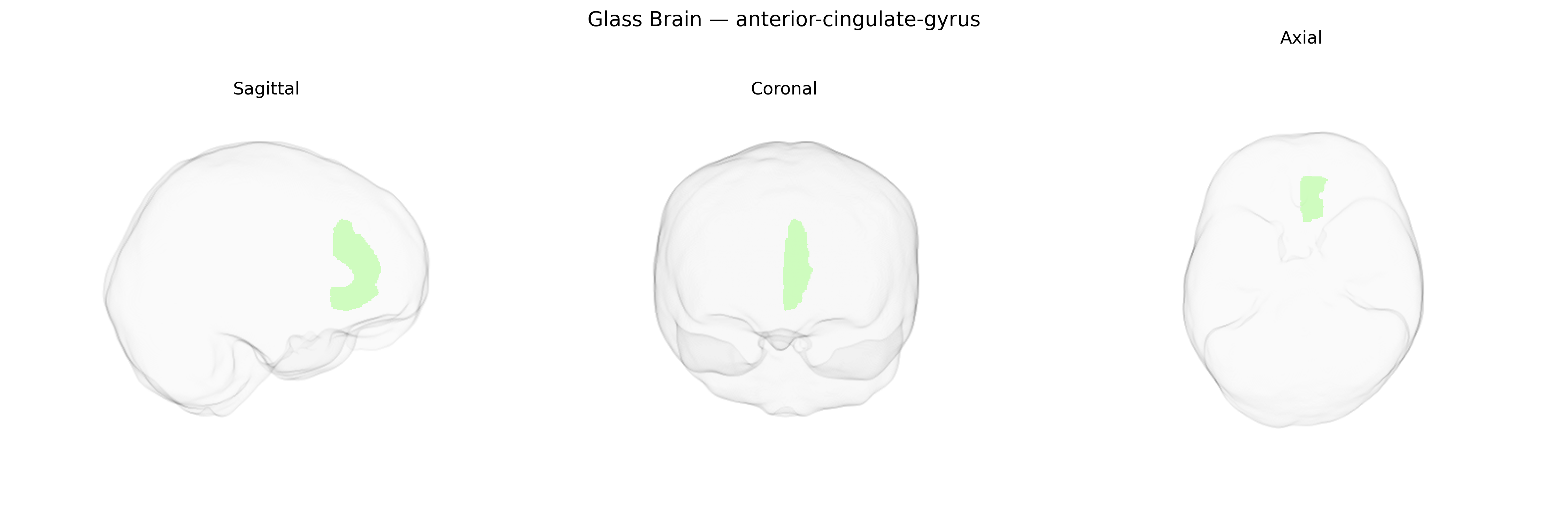 Triplanar Ghost Brain