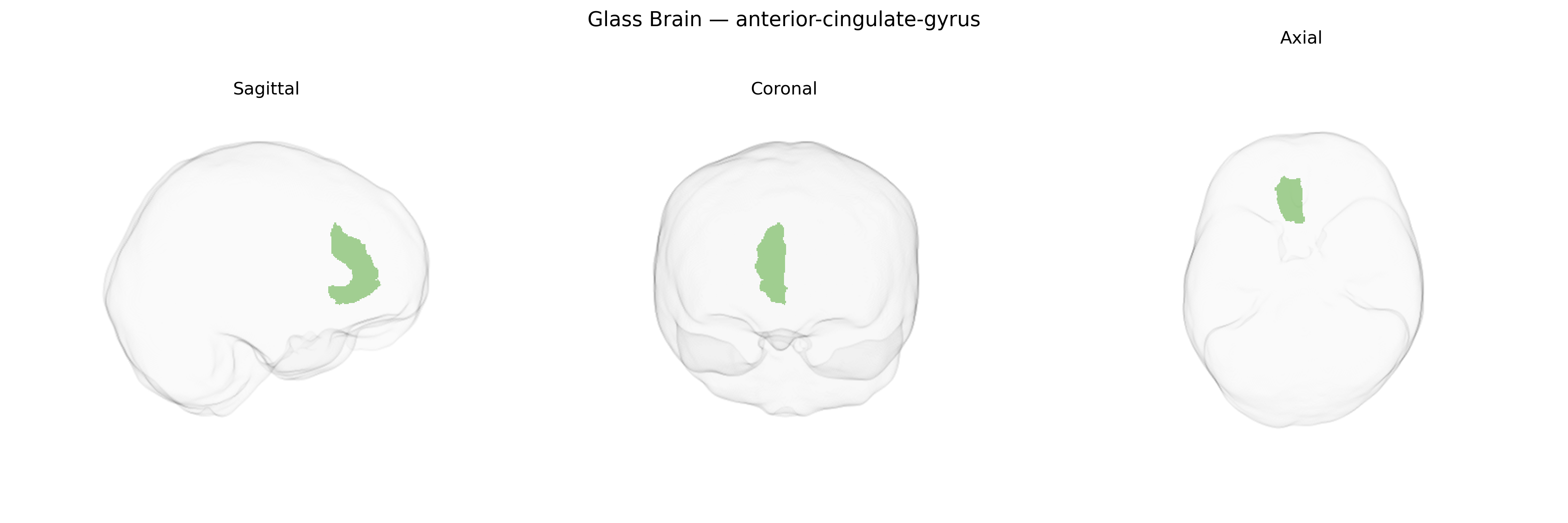 Triplanar Ghost Brain