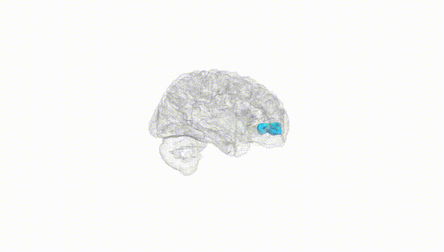 Hemisphere White