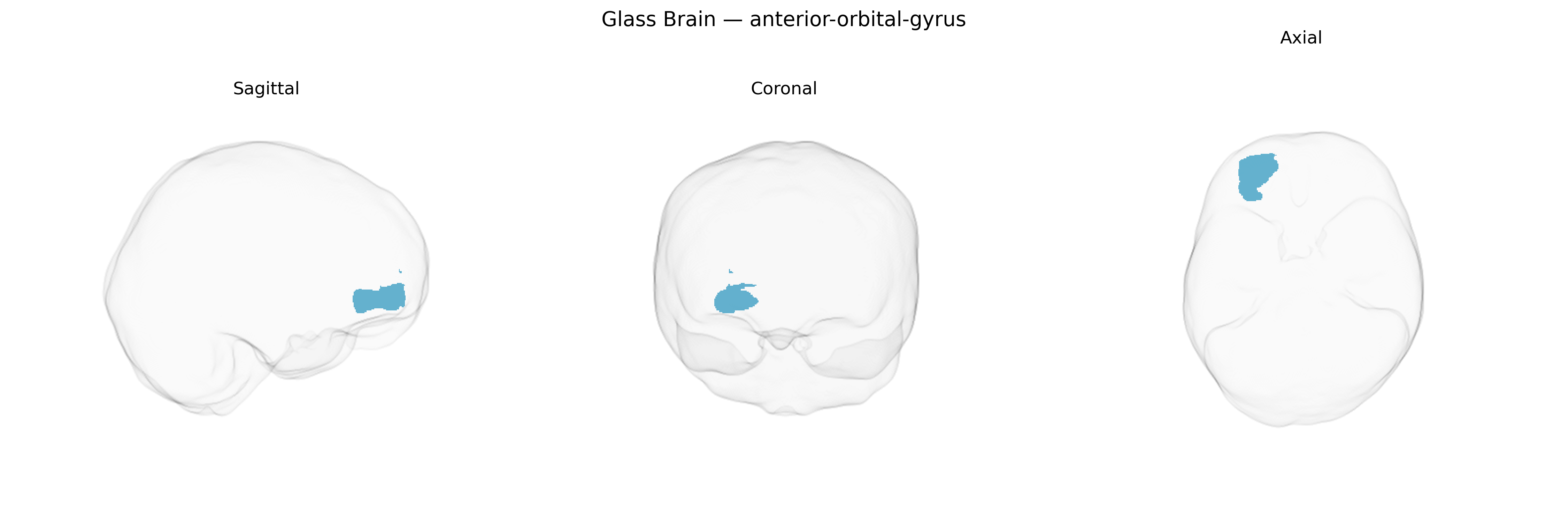 Triplanar Ghost Brain