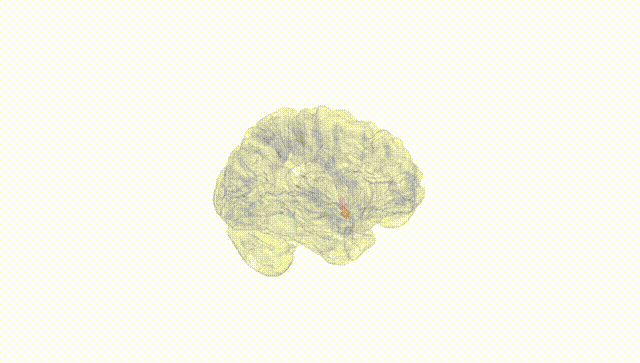 Hemisphere White