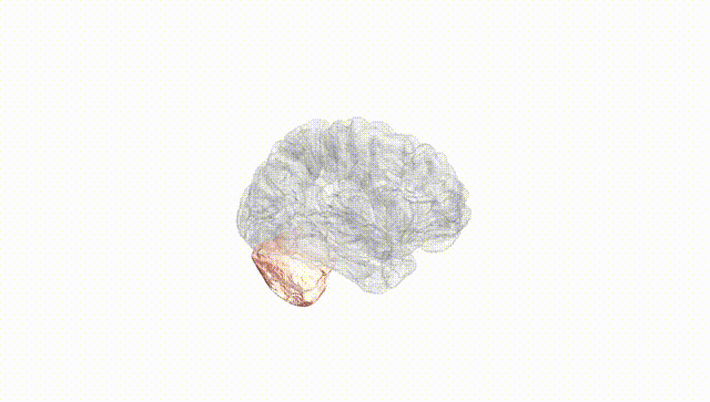 Hemisphere White