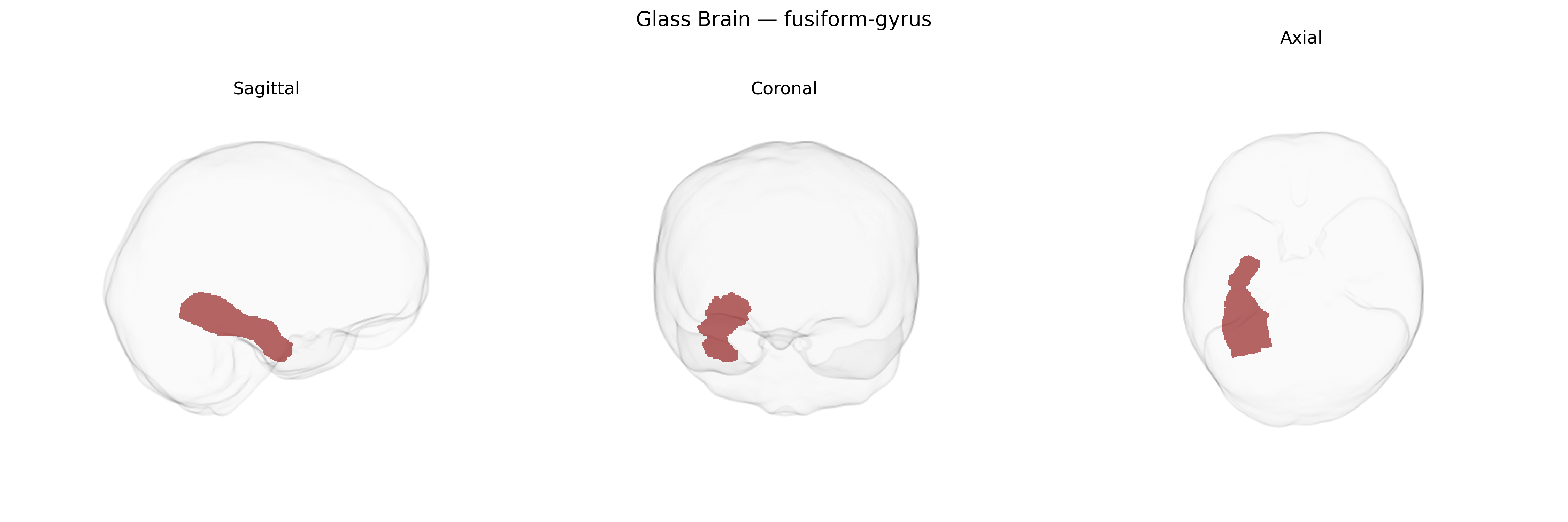 Triplanar Ghost Brain
