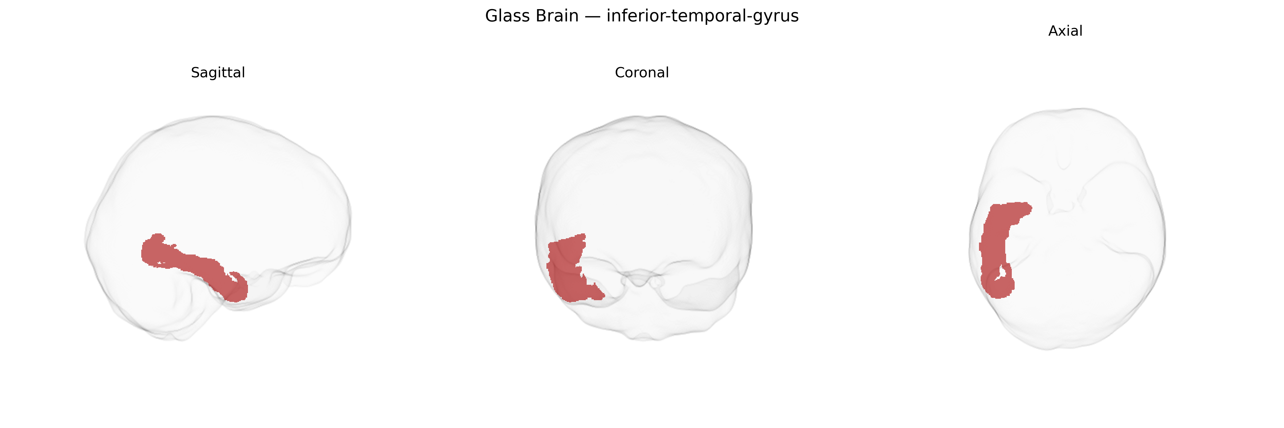 Triplanar Ghost Brain