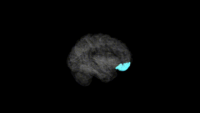 Hemisphere Black