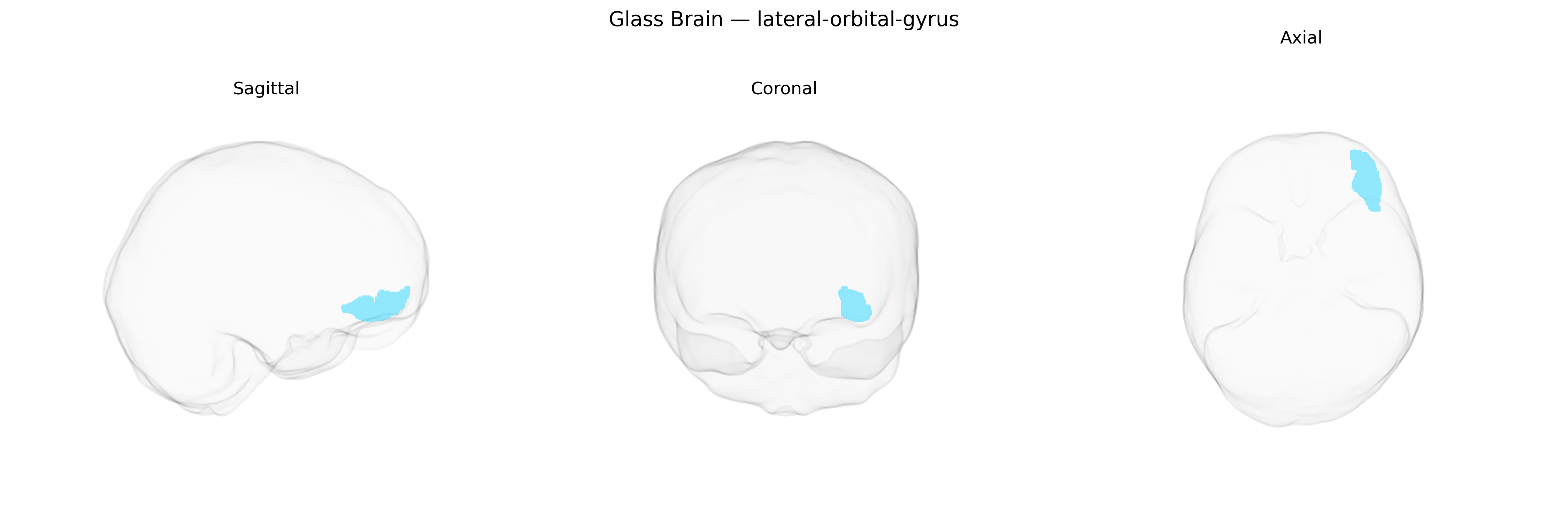 Triplanar Ghost Brain