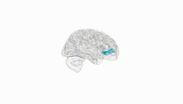 Hemisphere White