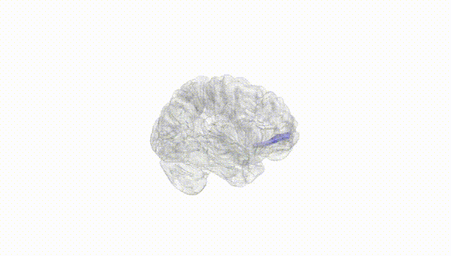 Hemisphere White