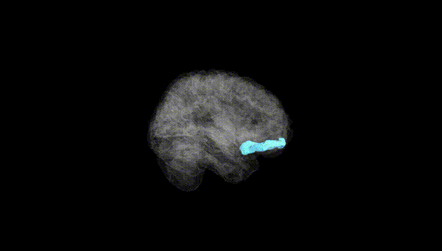 Full Brain Black