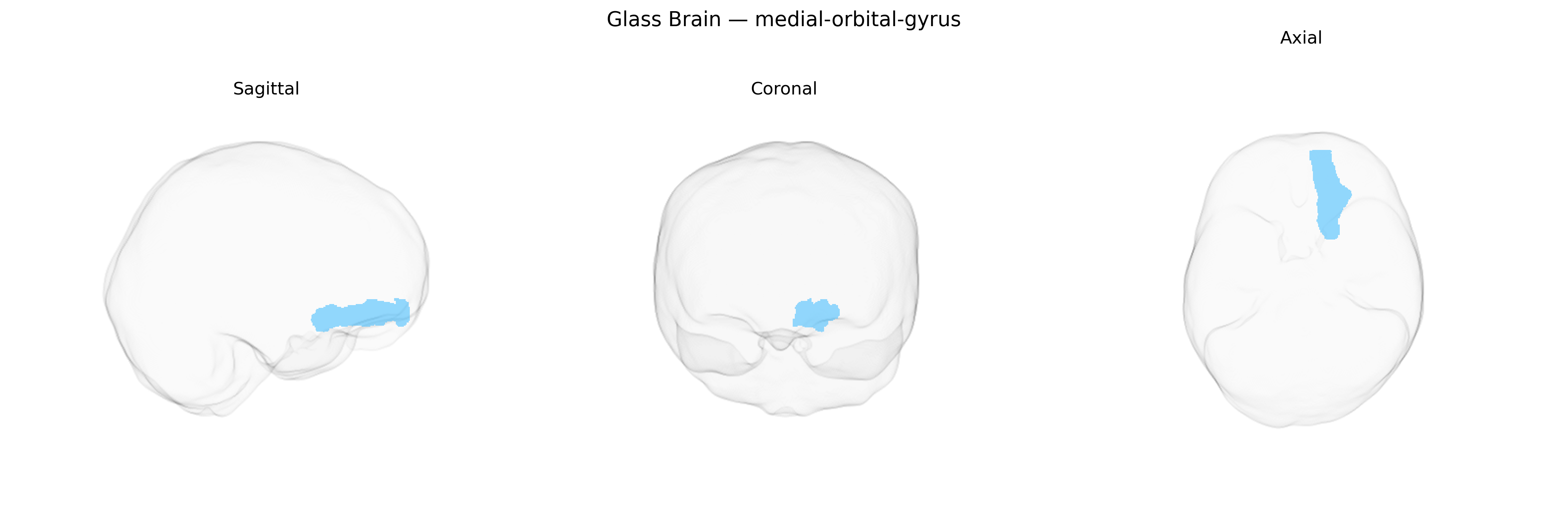 Triplanar Ghost Brain