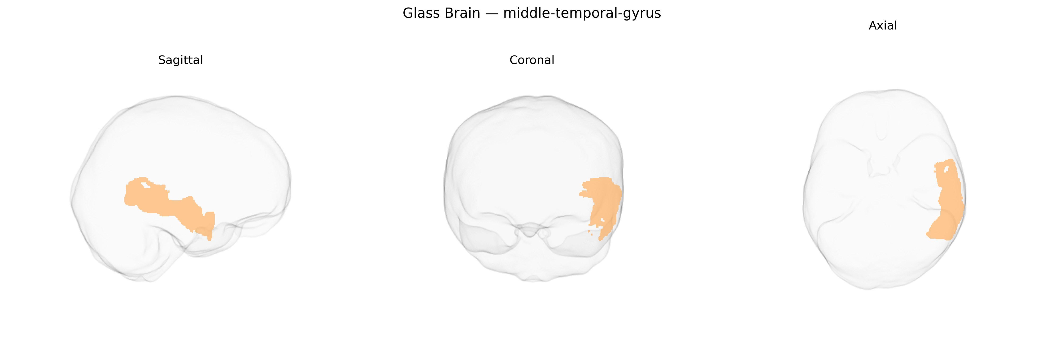 Triplanar Ghost Brain