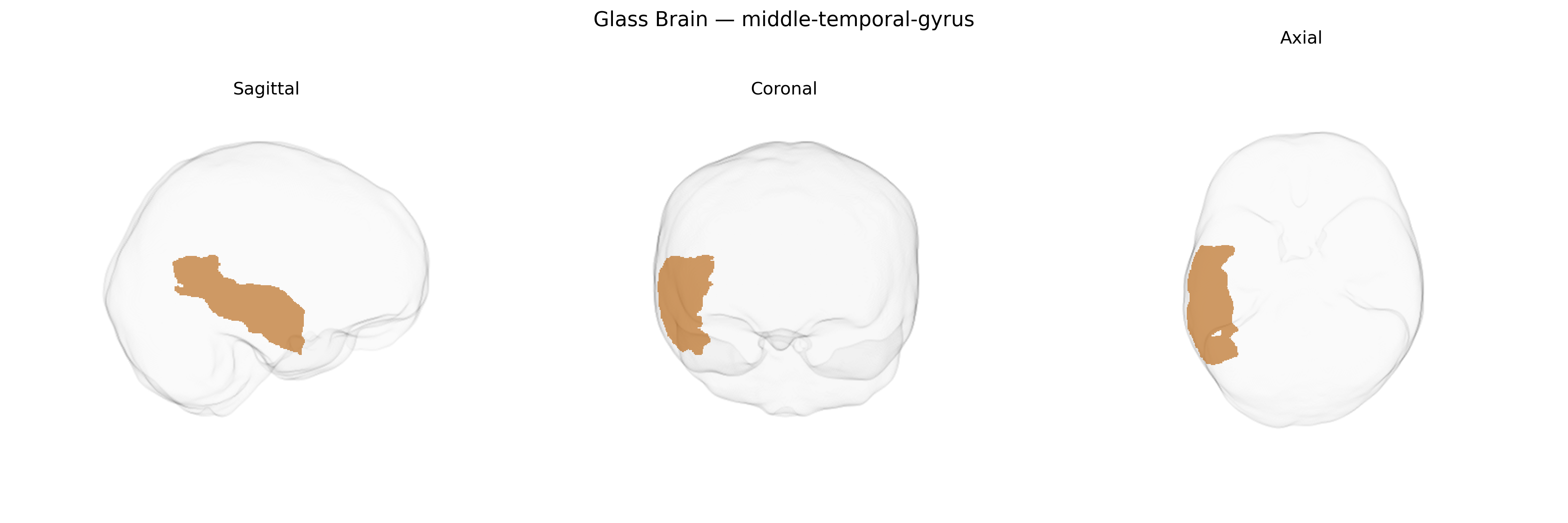 Triplanar Ghost Brain