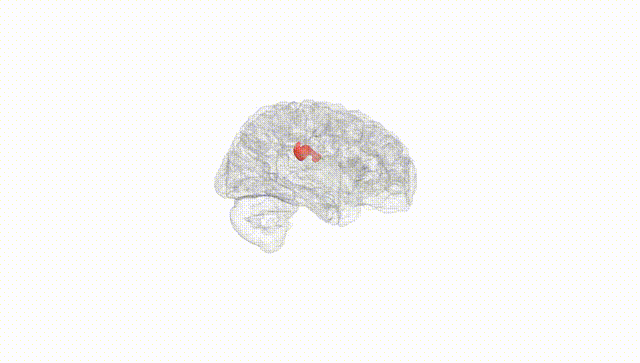 Hemisphere White