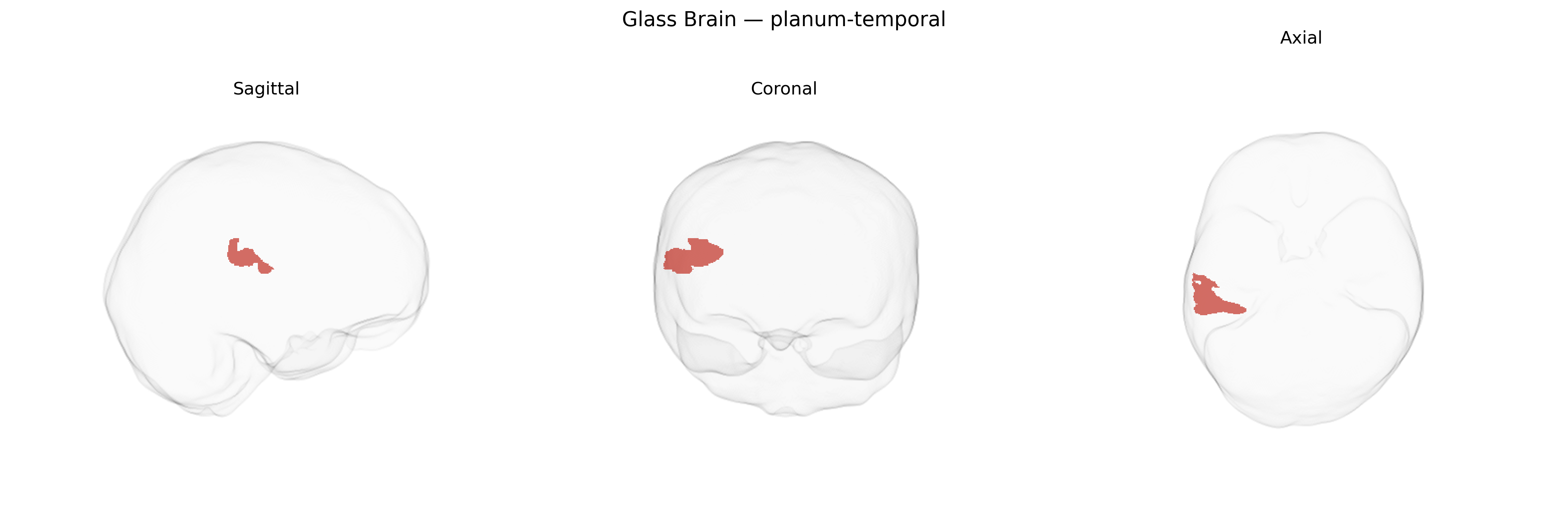 Triplanar Ghost Brain