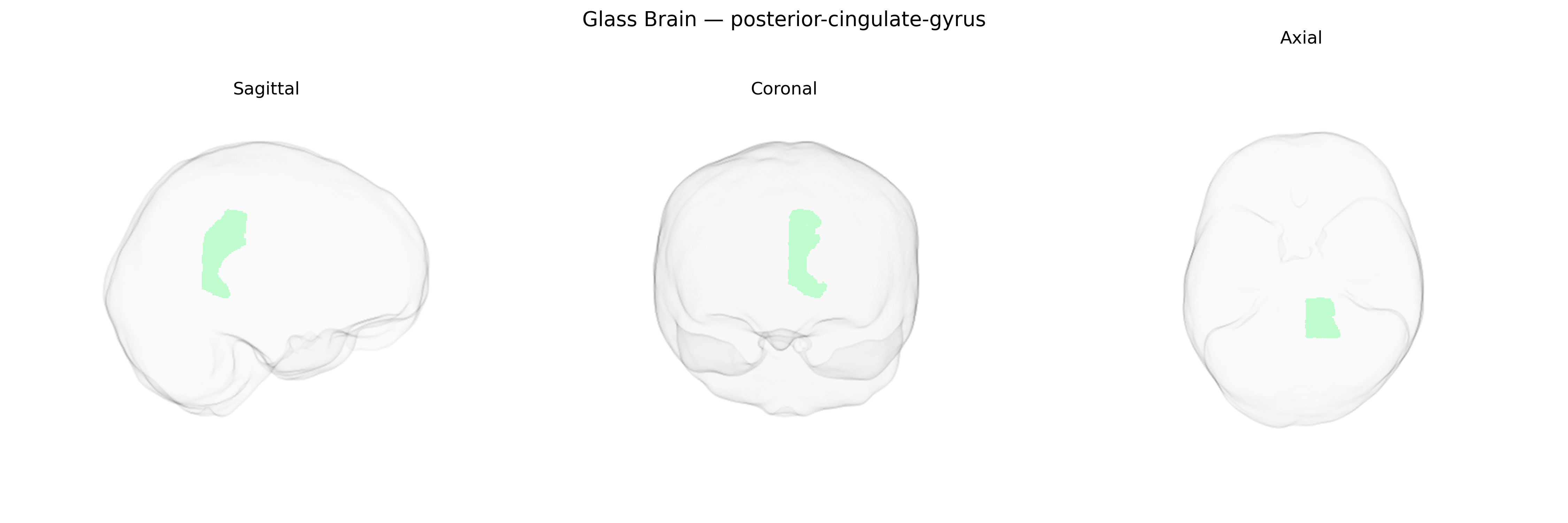 Triplanar Ghost Brain