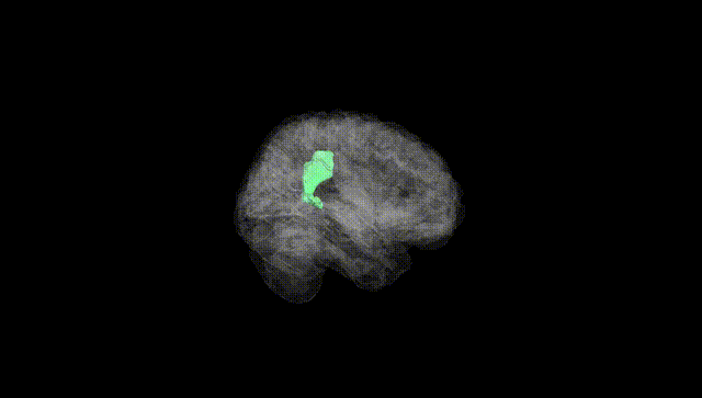 Full Brain Black