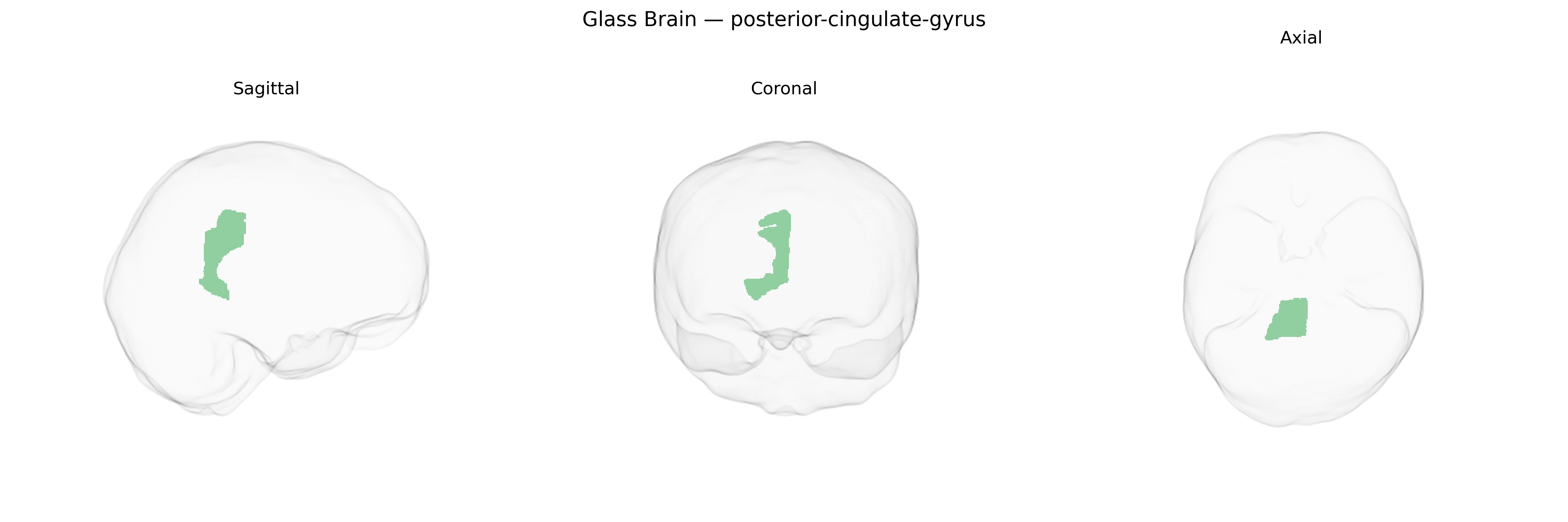 Triplanar Ghost Brain