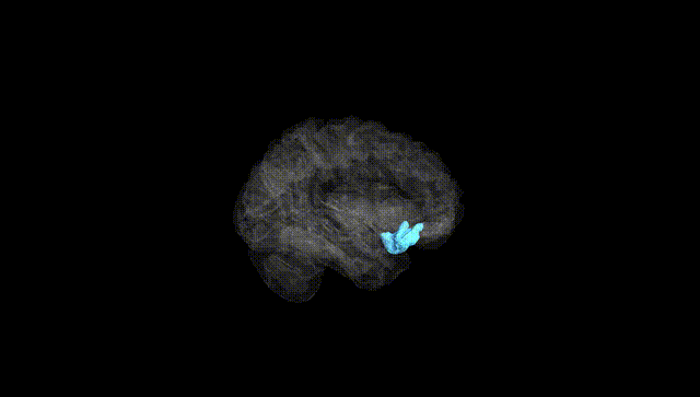 Hemisphere Black