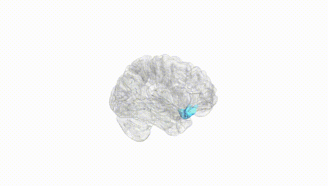Hemisphere White