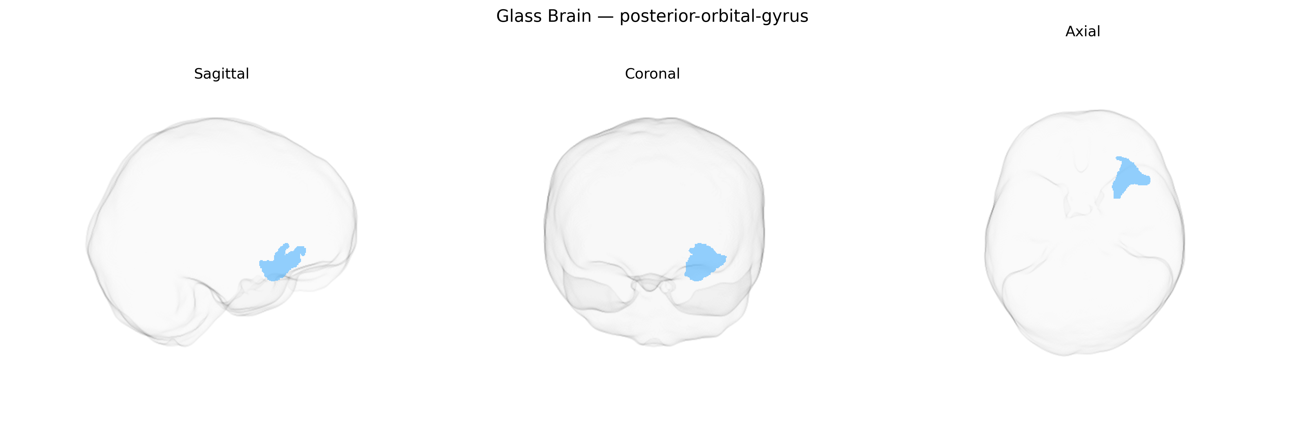 Triplanar Ghost Brain