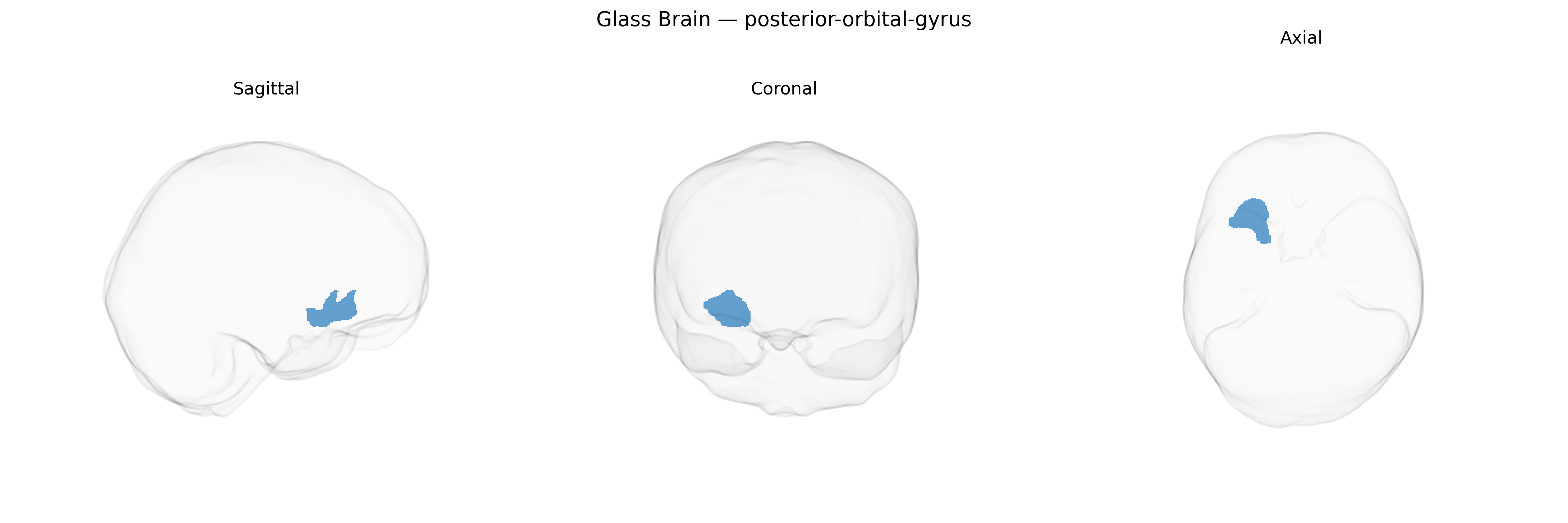 Triplanar Ghost Brain