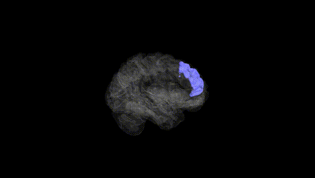 Hemisphere Black