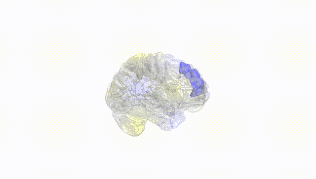 Hemisphere White