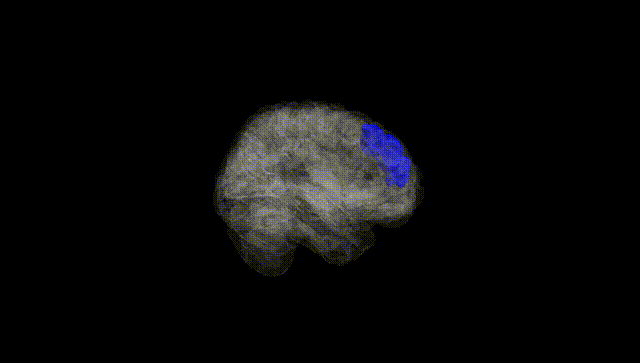 Full Brain Black