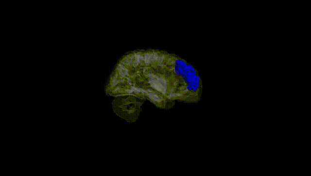Hemisphere Black