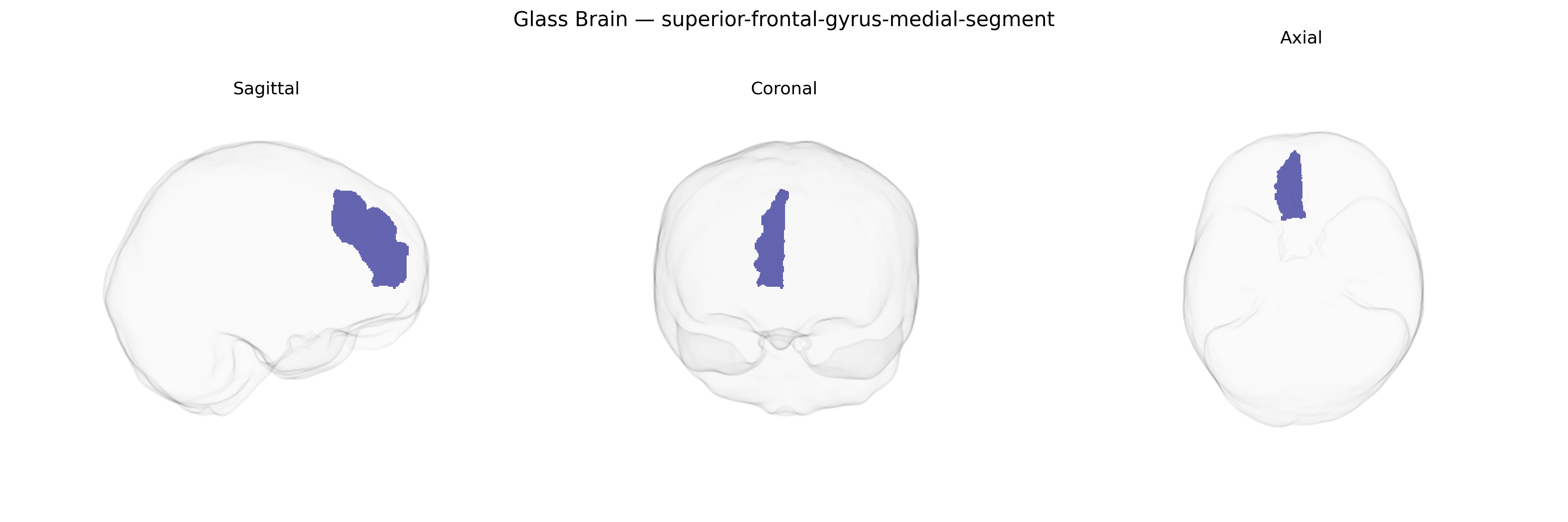 Triplanar Ghost Brain